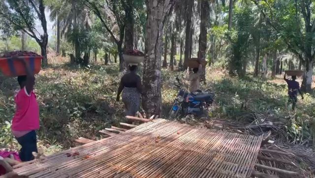 WhatsApp Video 2026 03 21 At 10.39.02